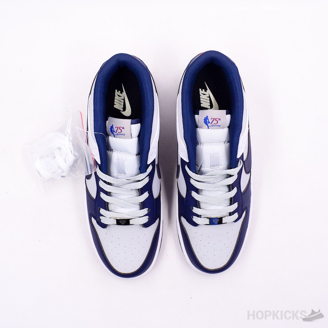 brooklyn nets sb dunks